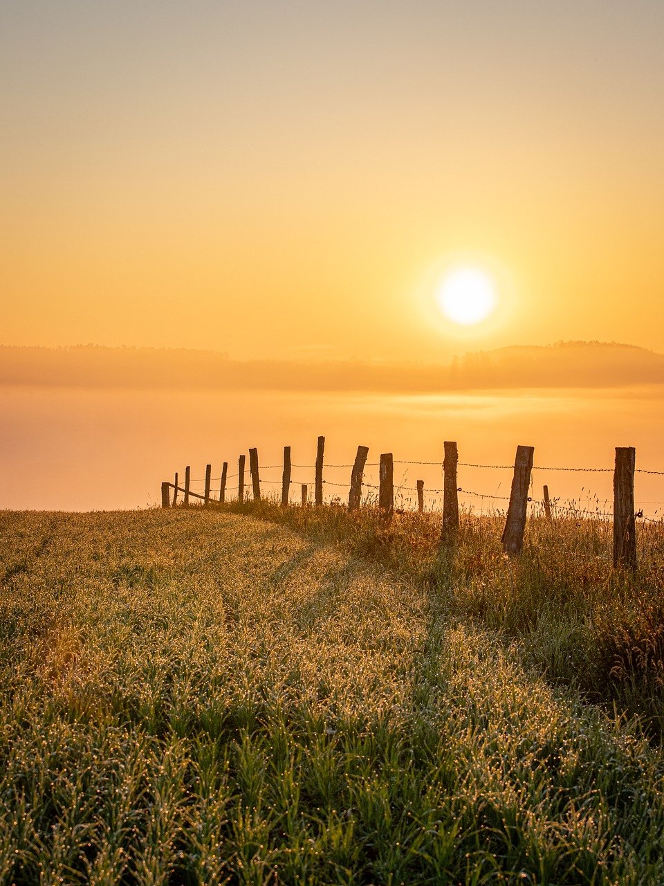 sunset, field, fence-6303992.jpg